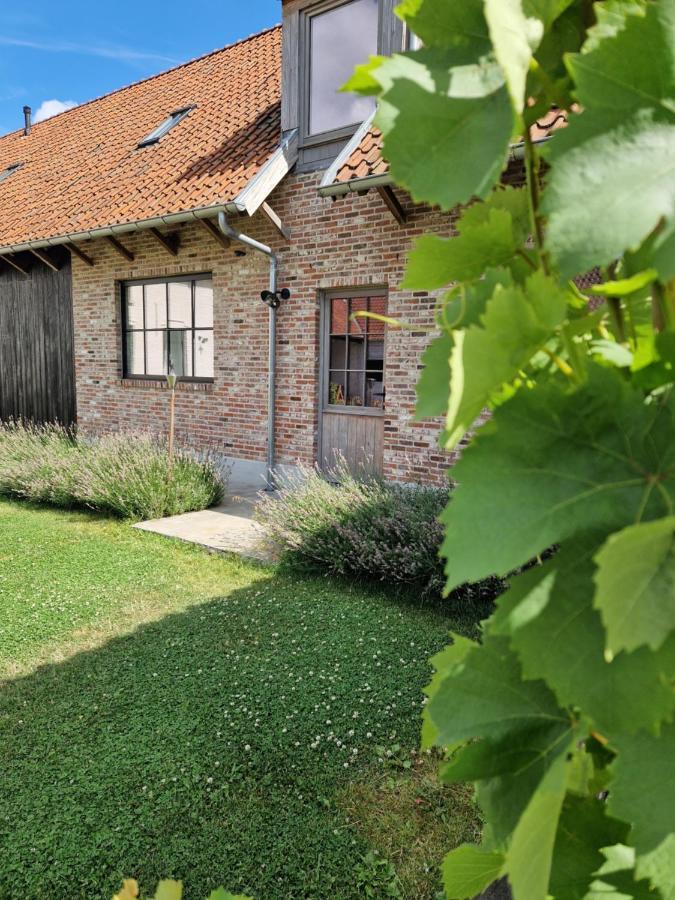 Muntershof Vila Velzeke-Ruddershove Exterior foto